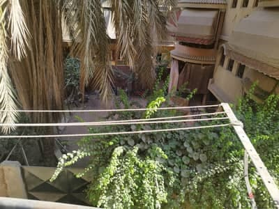 شقه للايجار 7