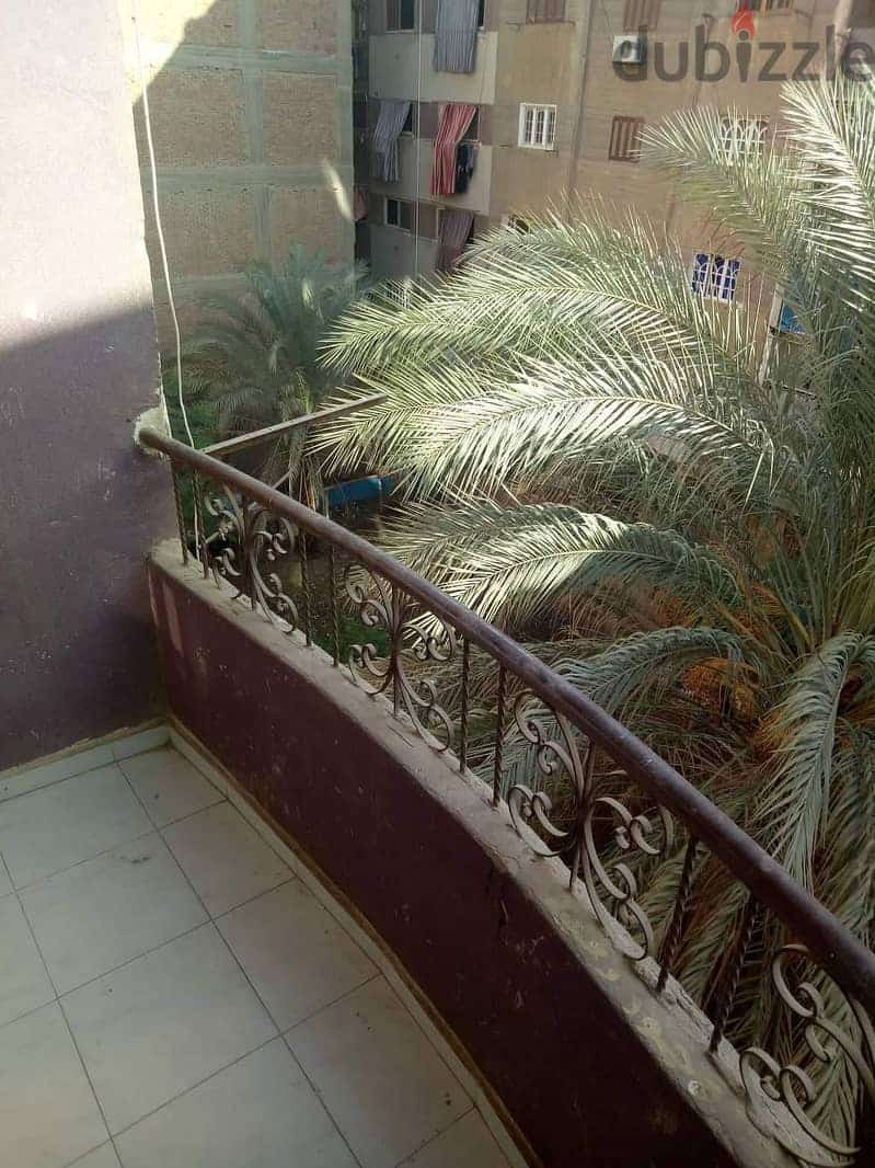 شقه للايجار 1