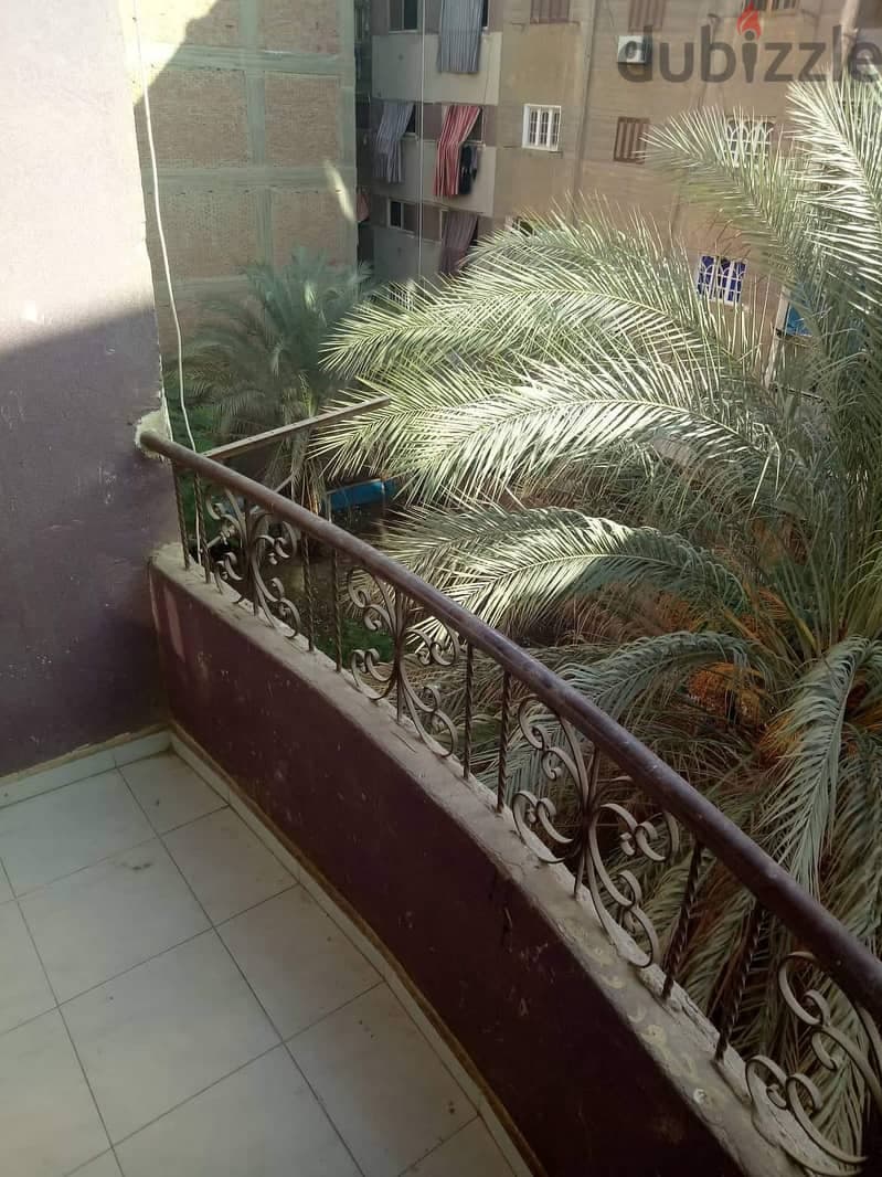 شقه للايجار 1
