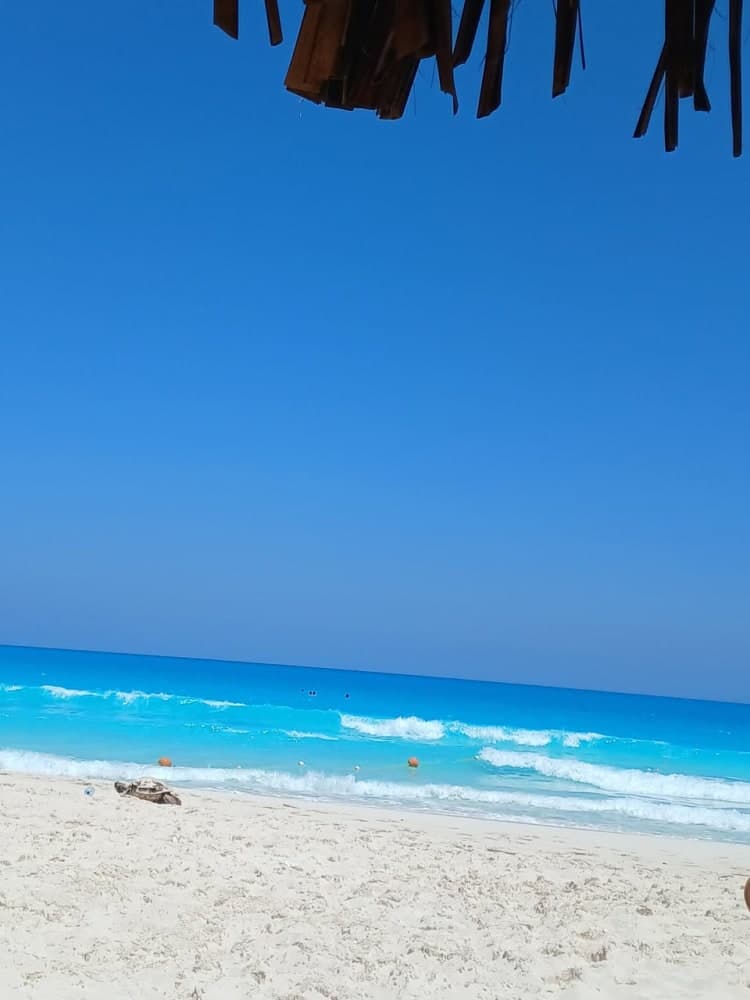 شاليه 4 غرف للإيجار في قرية بدر 1